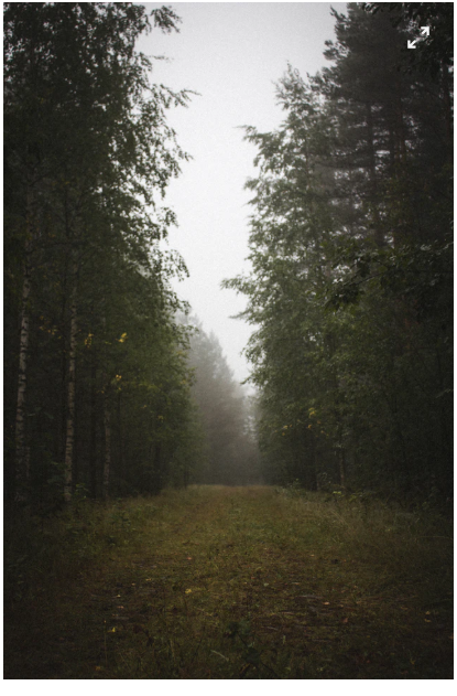 rainstorms on unsplash.com