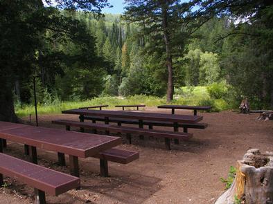 picnic in the park
